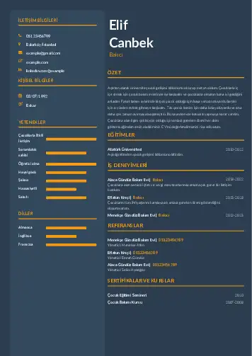 Bakıcı Cv Örnekleri cv indir